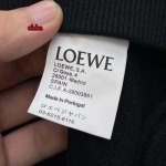 2022年11月秋冬高品質新作入荷 LOEWE  スウェット人気 CHKA工場