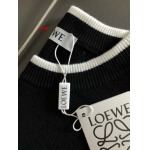 2022年11月秋冬高品質新作入荷LOEWE  メンズ カシミヤ セーター人気 MAN工場