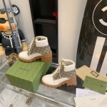 2022年11月秋冬高品質新作入荷 グッチ  女性靴 haima工場 35-40
