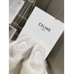 2022年11月秋冬高品質新作入荷 CELINE  女性靴 haima工場 35-40
