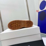 2022年11月秋冬高品質新作入荷 CELIN  女性靴 haima工場 35-45