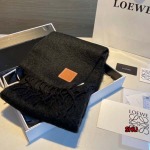 2023年秋冬新作高品質 LOEWE カシミヤマフラー size:23*185