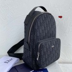 2023年11月20日秋冬新品入荷 ディオール バッグ wp工場21×32×10