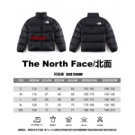 2023年11月21日秋冬新品入荷The North Face ダウンジャケットfangao工場