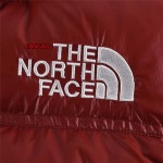2023年11月21日秋冬新品入荷The North Face女性 ダウンジャケットfangao工場
