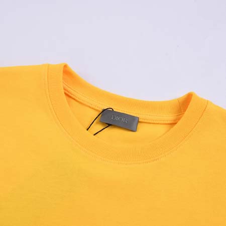 2024年早春人気新品入荷 ディオール半袖 Tシャツ 520L工場