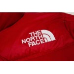 2023年12月11日秋冬新品入荷The North Face 女性ダウンジャケットbai工場