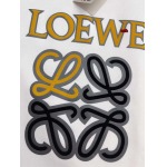 2023年12月15日秋冬高品質新品入荷LOEWE  スウェット wzh工場