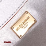 2024年新作入荷 Dolce&Gabbana  バッグ人気 CHLIU工場21*5*13.5