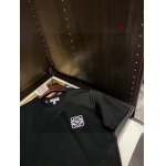 2024年3月14日入荷早春高品質LOEWE 半袖 TシャツQ工場