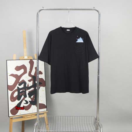 2024年4月9日春夏新作入荷LOEWE 半袖 TシャツFACAI工場