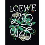 2024年5月27日夏季新作入荷LOEWE半袖 TシャツDW工場