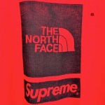 2024年6月7日高品質新作入荷SUPREME XThe North Face 半袖 Tシャツ61工場