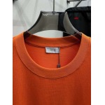 2024年6月11日夏季新作入荷ディオール半袖 TシャツAIBL工場S-XXL