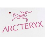 2024年6月20日夏季新作入荷ARCTERYX 半袖 TシャツFF工場