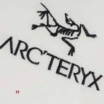 2024年7月4日夏季新品入荷 ARCTERYX 半袖 TシャツFF工場