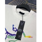 2024年7月19日新作入荷 ARCTERYX 半袖 Tシャツ JASON工場