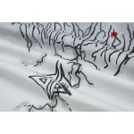 2024年8月8日早秋新作入荷ARCTERYX  半袖 Tシャツ FF工場