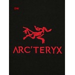 2024年8月19日秋冬新作入荷人気 ARCTERYX 半袖 Tシャツ DW工場