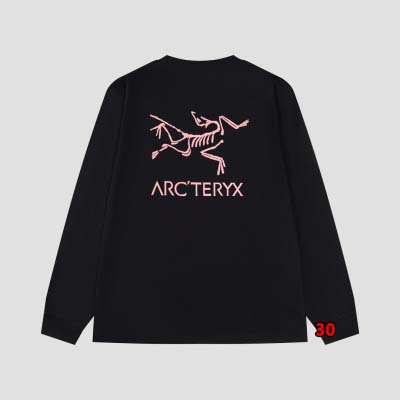 2024年9月23日早秋新品入荷 ARCTERYX 長袖 Tシャツ 30工場