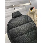 2024年10月22日秋冬高品質新品入荷 FENDI ダウンジャケット Q工場