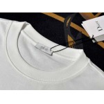 2025年7月10日入荷新作Dior半袖Tシャツ 高级品超厳選★入手困難/誕生日プレゼント/SUS工場S-XL