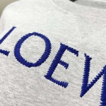2025年8月23日秋冬入荷新作LOEWEスウェットシャツ高品質人気商品/HL工場