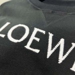 2025年8月23日秋冬入荷新作LOEWEスウェットシャツ高品質人気商品/HL工場