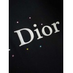 2025年8月30日入荷 新作Dior半袖 tシャツ高級なプレゼント/誕生日プレゼント/高品質/メンツ/記念品/ wenzhou工場