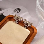 2025年9月25日入荷新品CHANELピアスギフト/誕生日/記念品/アクセサリーxin工場