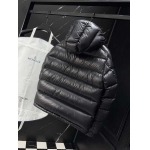 2025年10月30日秋冬新作Monclerダウンジャケット高品質人気商品/LDF工場