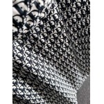 2025年11月4日秋冬新作Dior ジャケット高品質人気商品/LDF工場