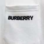 2025年11月7日秋冬新作Burberryスウェット高品質人気商品/LDF工場