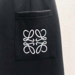 2025年11月7日秋冬新作LOEWEズボン高品質人気商品/LDF工場