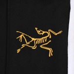 2025年11月12日秋冬新作ARCTERYXスラックス人気商品/LDF工場