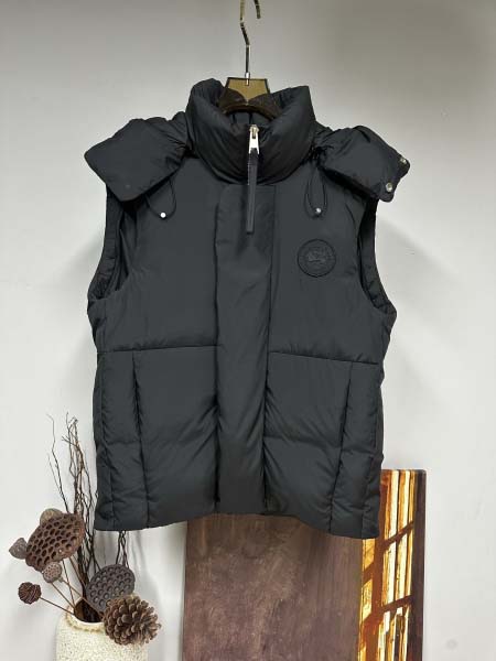 2025年11月17日秋冬新作Canada gooseダウン...