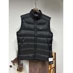 2025年11月17日秋冬新作ARCTERYXダウンベスト高品質人気商品/QIU工場