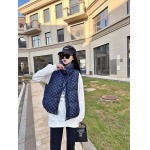 2025年11月20日入荷秋冬新作ルイヴィトンジャケットファッション/誕生日プレゼント/贈り物 can工場