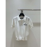 2025年11月21日入荷秋冬新作Diorファッション/誕生日プレゼント/贈り物 can工場