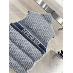 2025年11月23日入荷秋冬新作Diorダウンジャケットファッション/誕生日プレゼント/贈り物 can工場