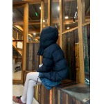 2025年11月23日入荷秋冬新作Loeweダウンジャケットファッション/誕生日プレゼント/贈り物 can工場