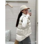 2025年11月23日入荷秋冬新作Diorダウンジャケットファッション/誕生日プレゼント/贈り物 can工場