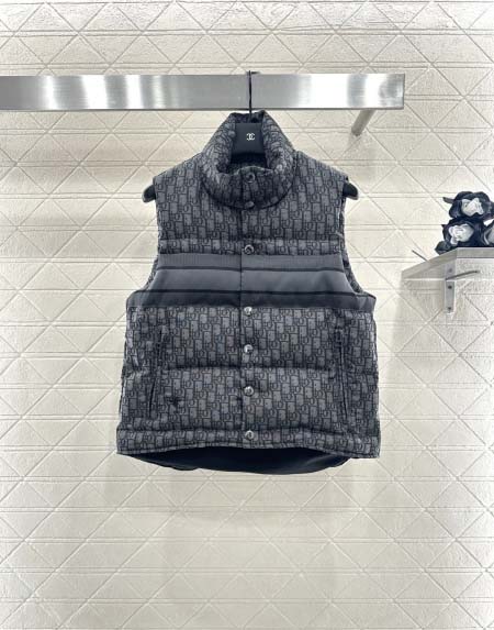 2025年11月23日入荷秋冬新作Diorダウンジャケットフ...