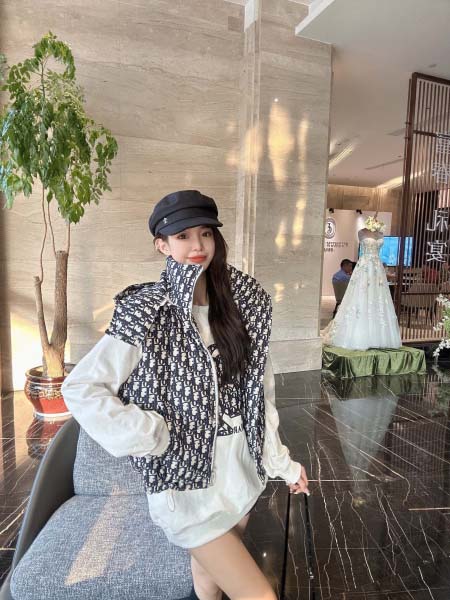 2025年11月23日入荷秋冬新作Diorダウンベストファッ...