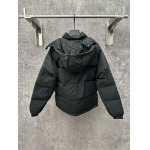 2025年12月1日秋冬新作Louis Vuittonダウンジャケット高品質人気商品/LDF工場