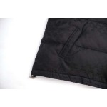 2025年12月4日秋冬新作Celineダウンジャケット高品質人気商品/LDF工場