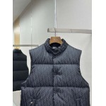 2025年12月4日秋冬新作DIORダウンベスト高品質人気商品/LDF工場