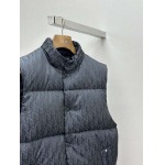 2025年12月4日秋冬新作DIORダウンベスト高品質人気商品/LDF工場