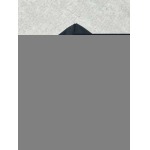 2025年12月5日秋冬新作Balenciagaスウェット高品質人気商品/LDF工場