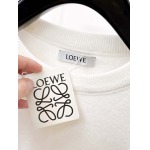 2025年12月5日入荷新作Loeweセーター ★高級品/誕生日プレゼント/OM工場